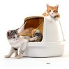 180 Sheets Tacky Walk Off Matts PEUTIER 17.7" x 15" Adhesive Mat-6