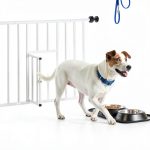 TOP Sticky Floor Mat Blue 18x36 & 24x36 Lab Matting for Cleanrooms-0